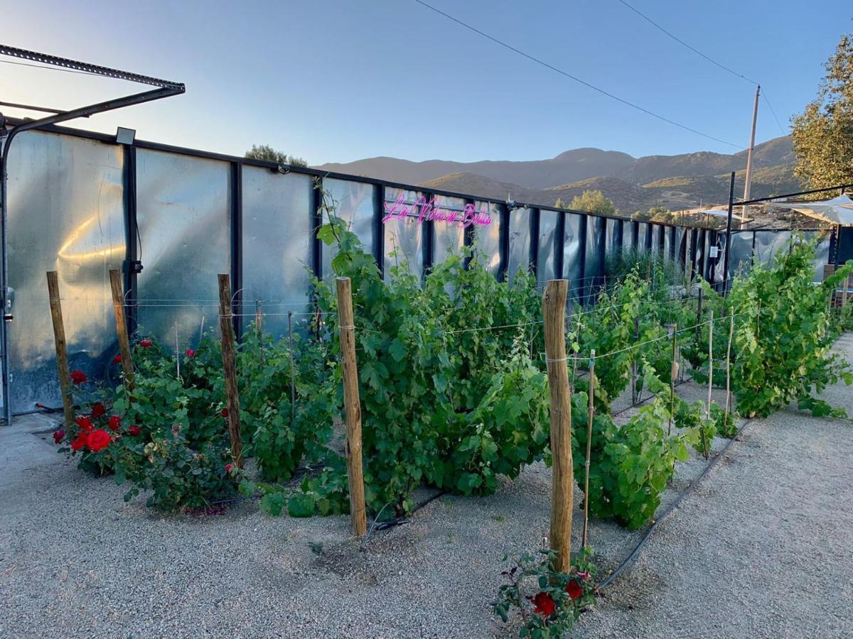 La Finca De Vane Hotel Valle de Guadalupe Exterior photo